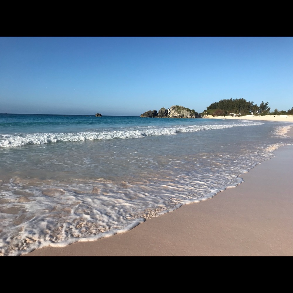 Meet your Posher, Michelle